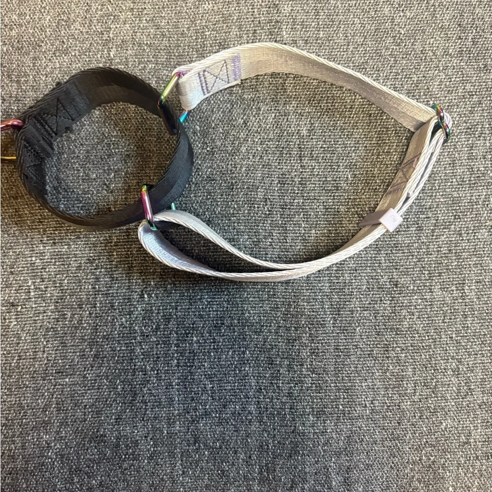 Top Paw Martingale Dog Collar